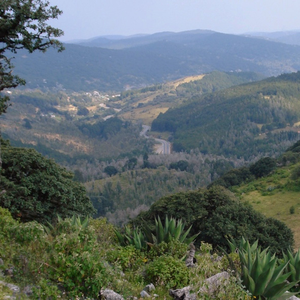 Sierra de Alvarez